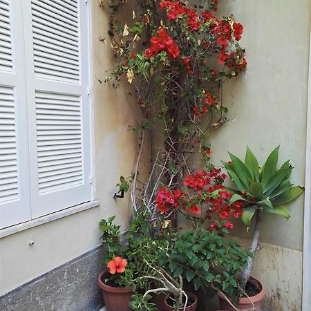 Villa Aloha House Ortigia Syracuse Exterior foto